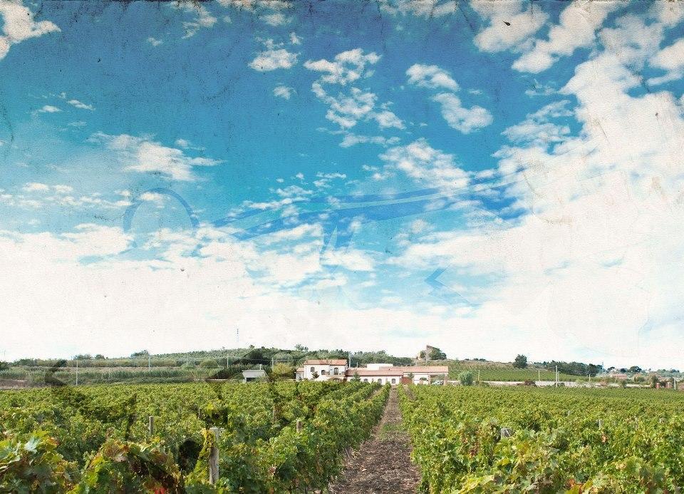I Dolci Grappoli Villa Larino Exterior foto